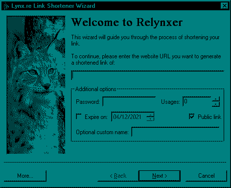 The wizard window of Relynxer